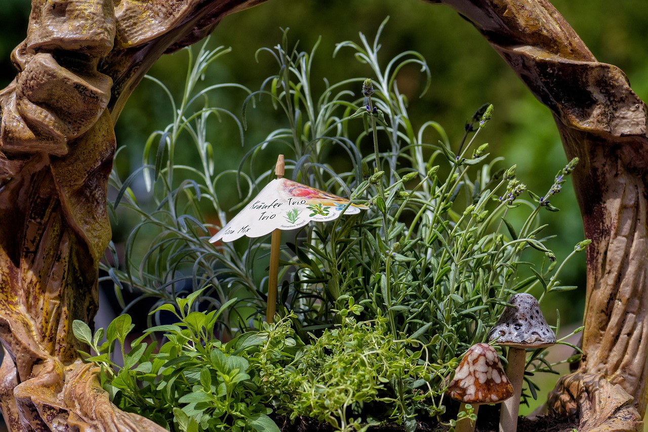 Herb fairy garden