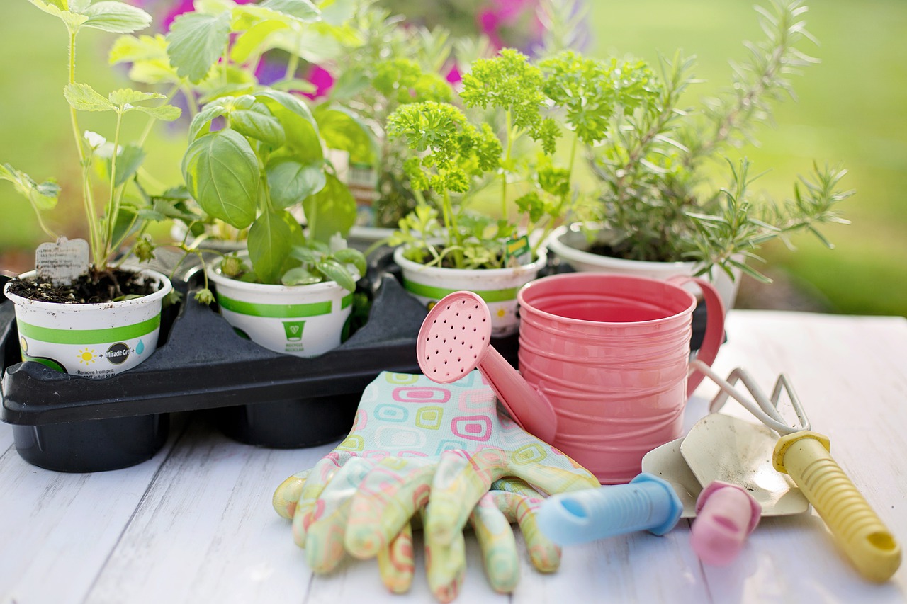 supplies for planting a herb garden